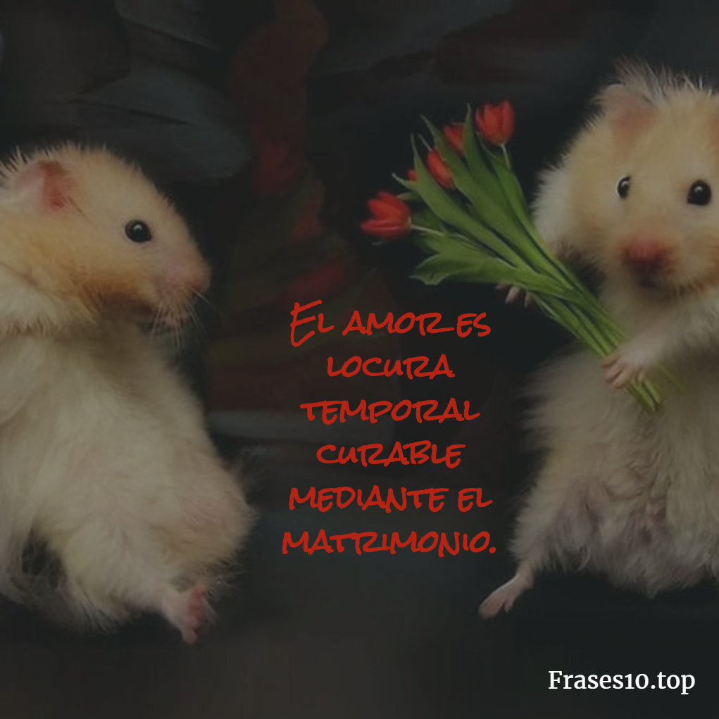 Dichos De Amor Chistosos Dichos De Amor Chistosos